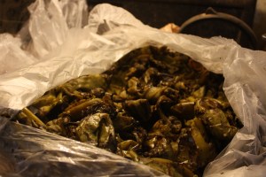 roasted and ready to bag