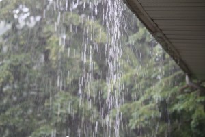 Since we haven't had rain here for far too long, I'm going to add this picture I took last year in Canada