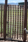 gate from a heavy wire  display 