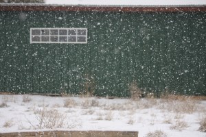 Hug the ones you love, two legged or four