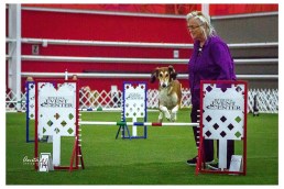 A very brief nice moment