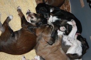 Just need a little more sleep