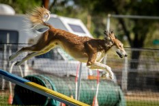 Contacts? We don't need no stinkin' contacts