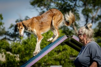 Ummm, Mom, you still there?