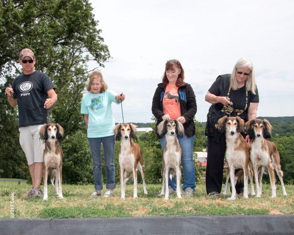 2017-JUNE-SCOA-SAT_monica