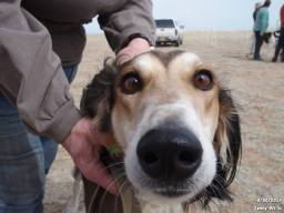 Moochie nose March 2014