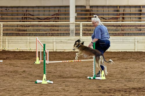 81876593-Friday-0449