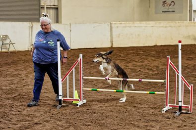 81876594-Friday-0450