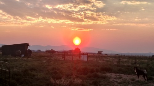 IMG_20190620_200142276_HDR