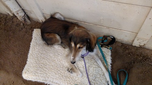 IMG_20190623_101734938